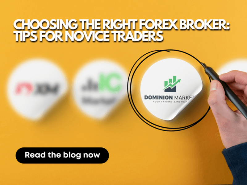 choosing-the-right-forex-broker-tips-for-novice-traders