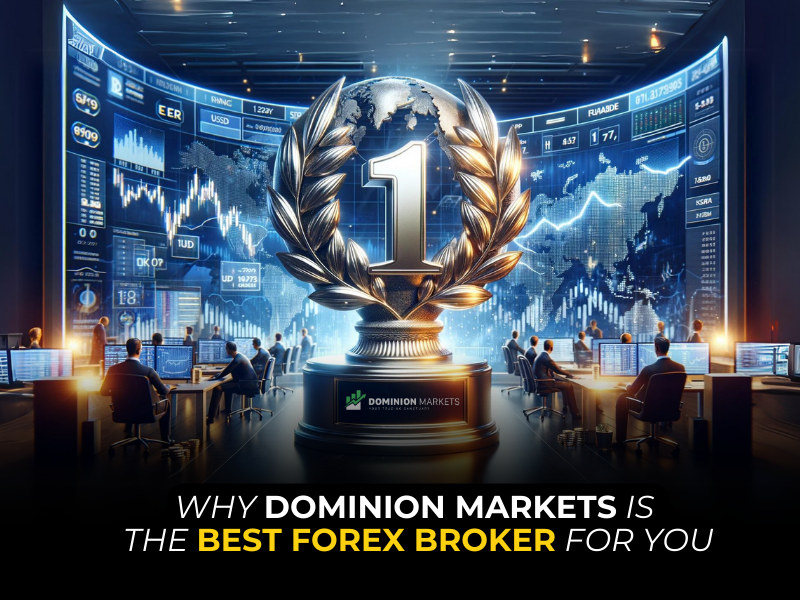 Why TP Market Trades Is The Best Forex Broker For You